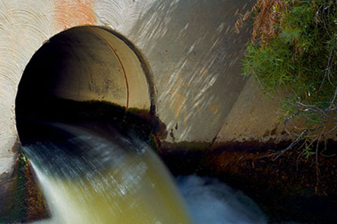 Image of effluent process water leaving a food production facility